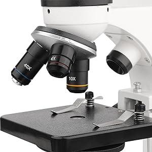 میکروسکوپ با زوم 40 تا 2000 برابر