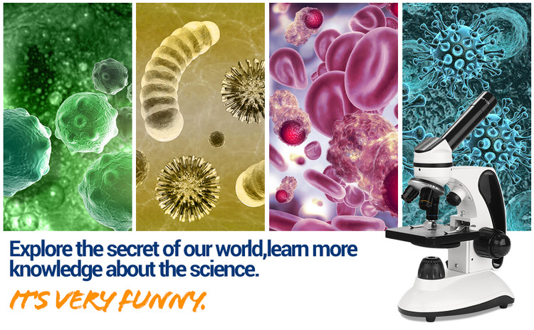 میکروسک bebang با دقت بسیار بالا و قیمت مناسب