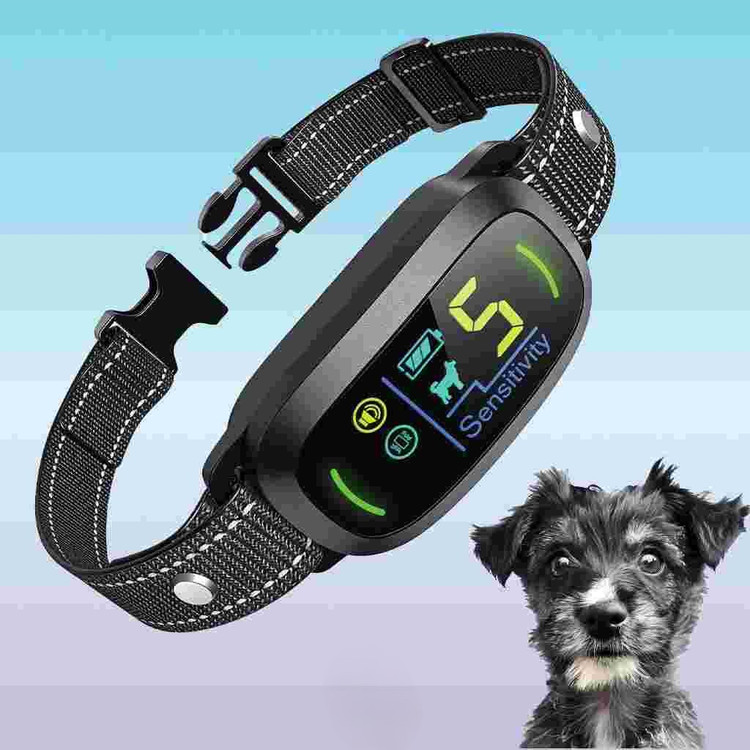 قلاده ایمن ضد پارس سگ