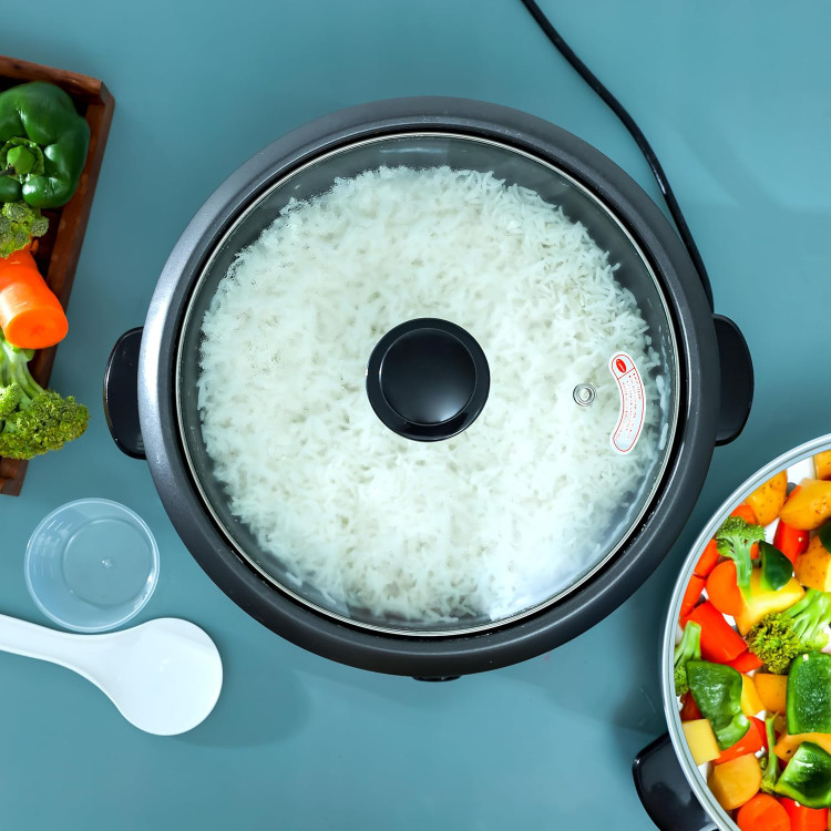 خرید بهترین پلوپز برقی اورجینال از ترب